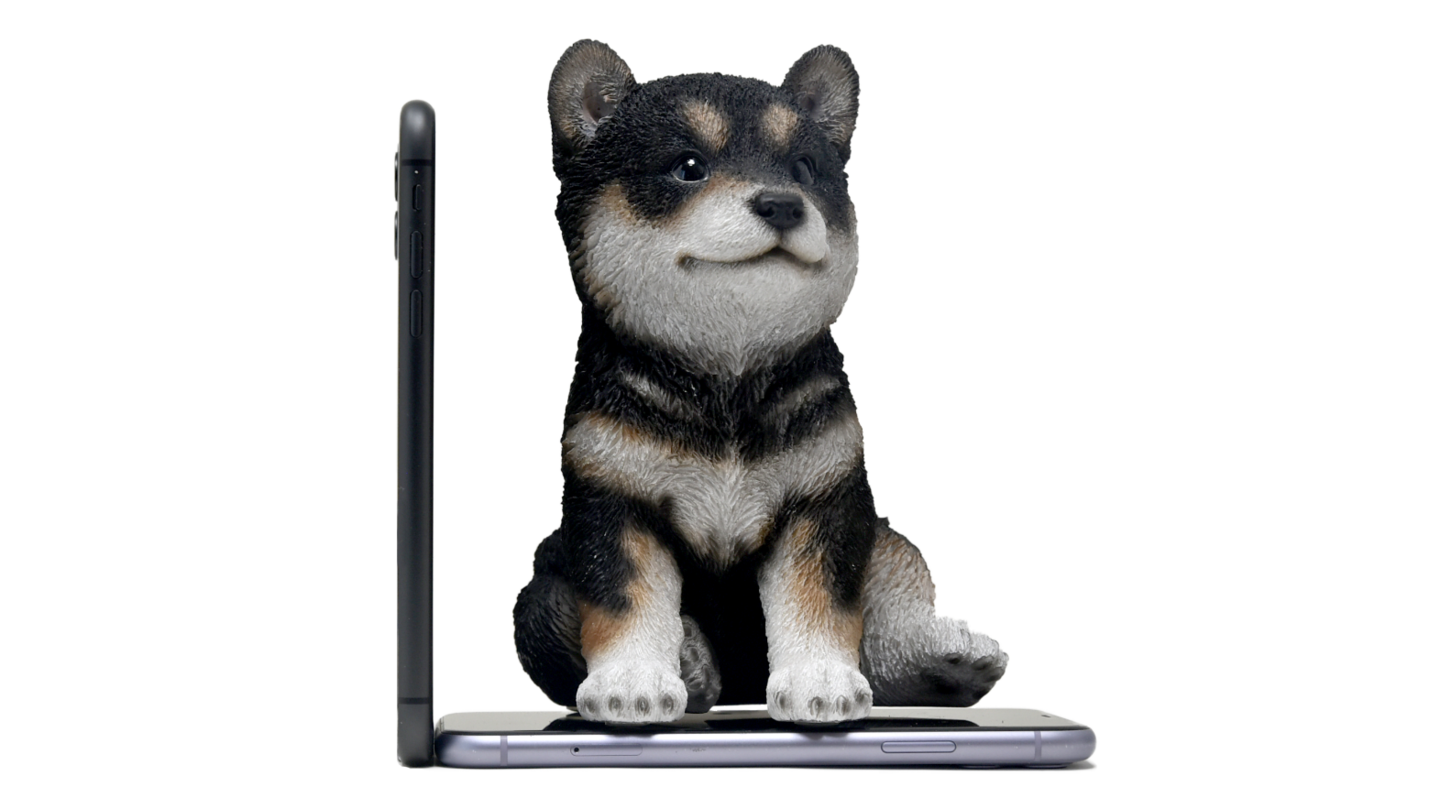 Woobiaサイズ比較犬１