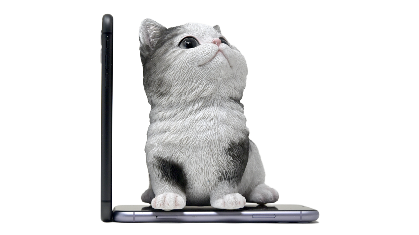 Woobiaサイズ比較猫１