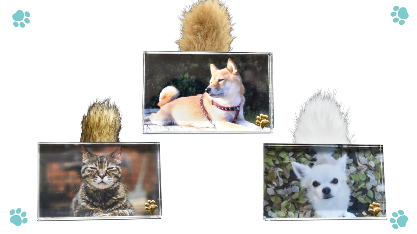 写真立てクレアP